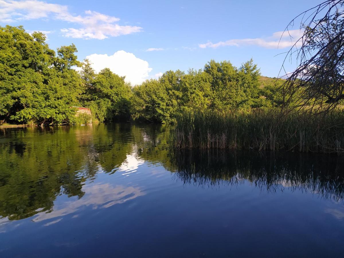 Marena B&B Pogradaş Dış mekan fotoğraf