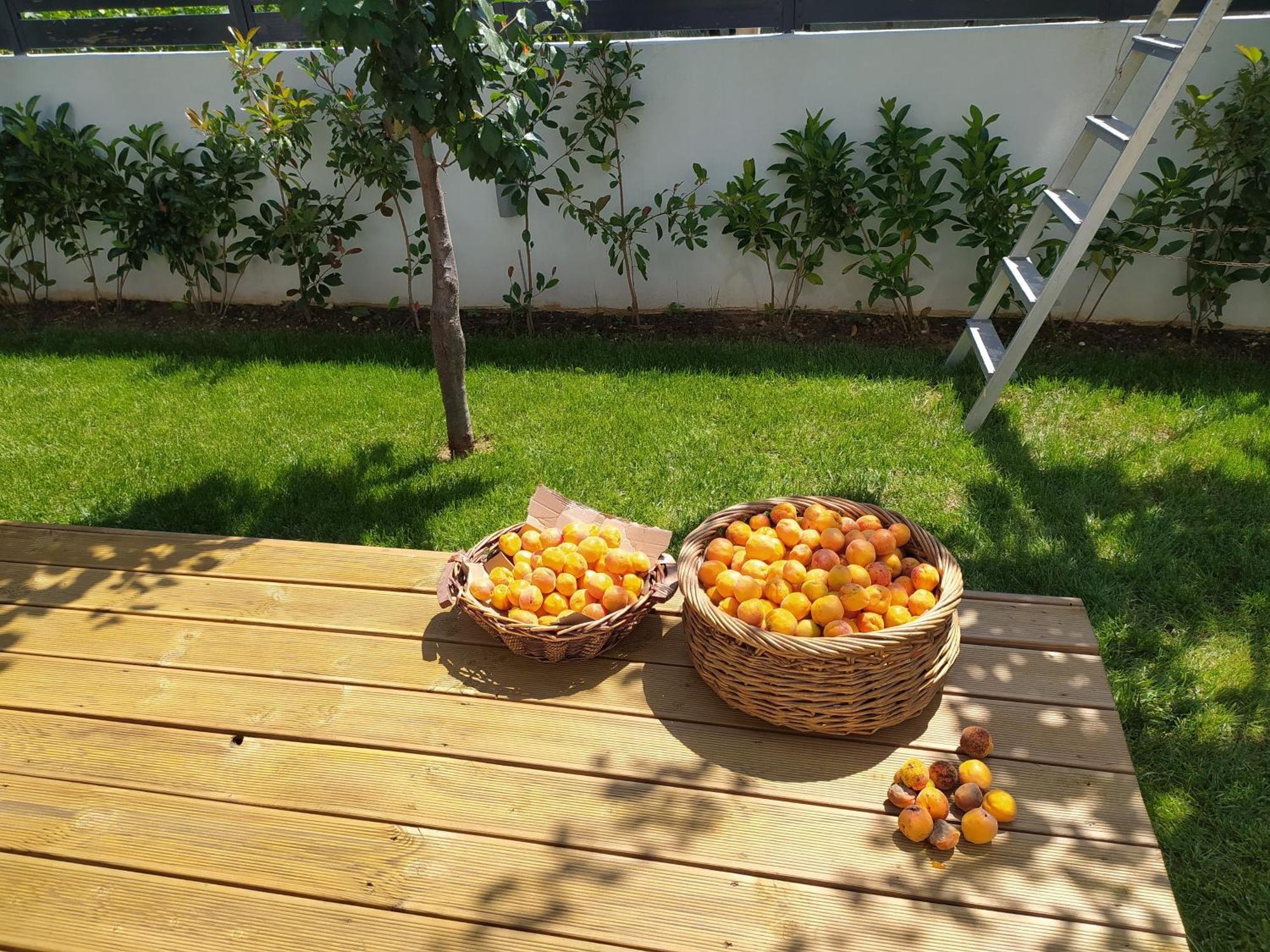 Marena B&B Pogradaş Dış mekan fotoğraf