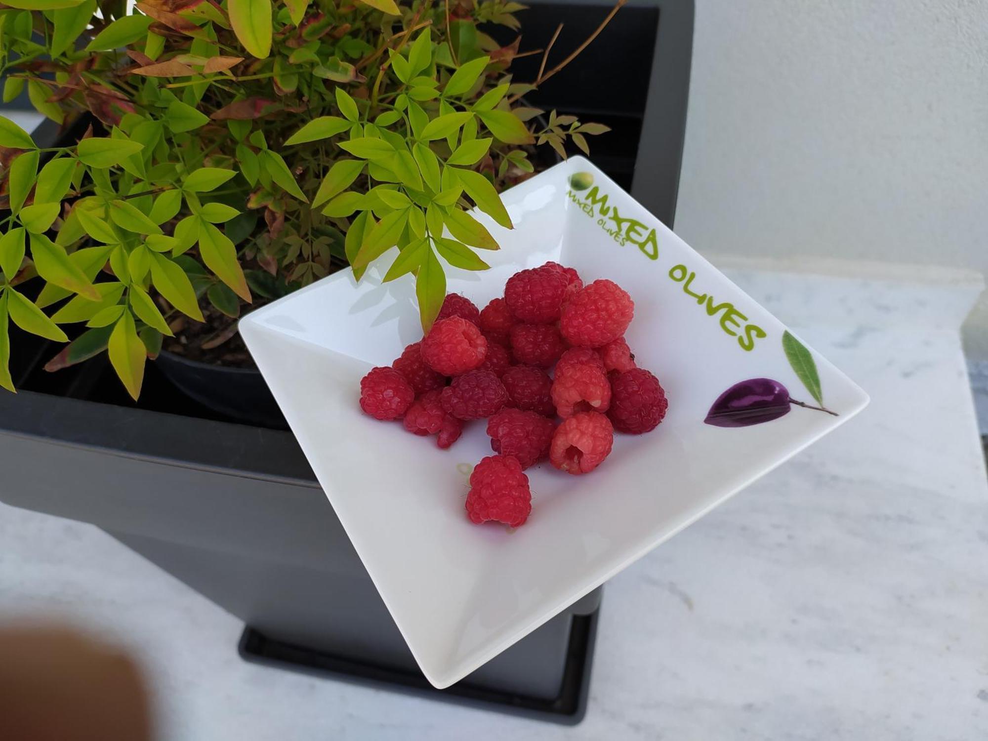 Marena B&B Pogradaş Dış mekan fotoğraf